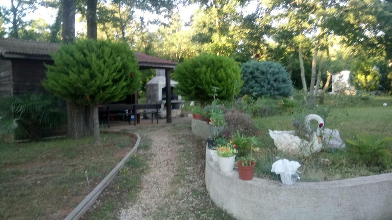 Apartment Andjel بوريتش المظهر الخارجي الصورة